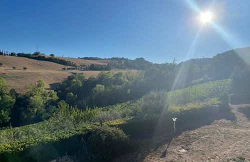 Vineyard Farmhouse in Massignano - Foto 34