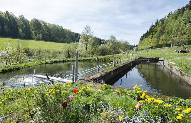 Apartment in Schonsee Near Lake Beach - Photo 32