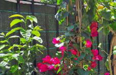 Lilibet Apartment - Foto 22