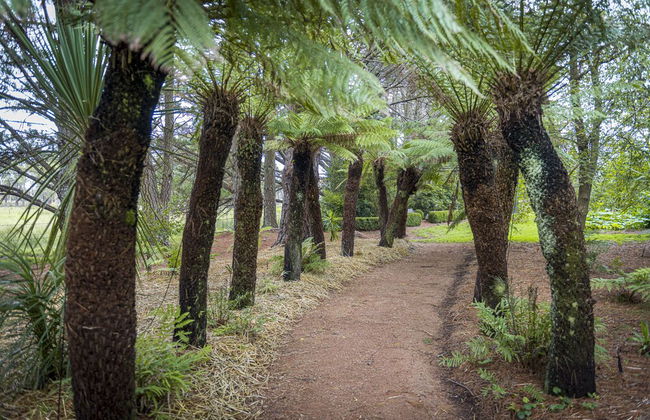 The Vale Penrose - Photo 43