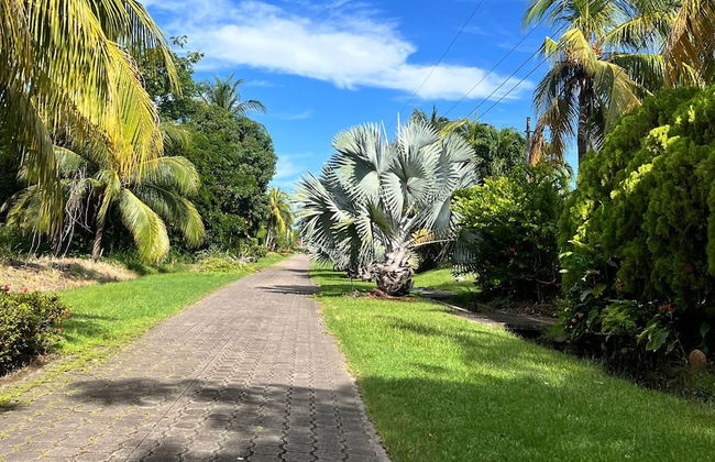 Quinta Luna Mar - Photo 36