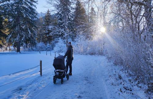 Ferienhof beim Bohlar - Geiselstein - Foto 12