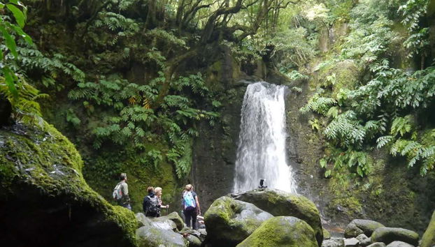 Natureza do Faial da Terra