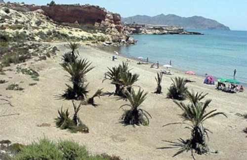 Astonishing beach and pool house - Foto 34