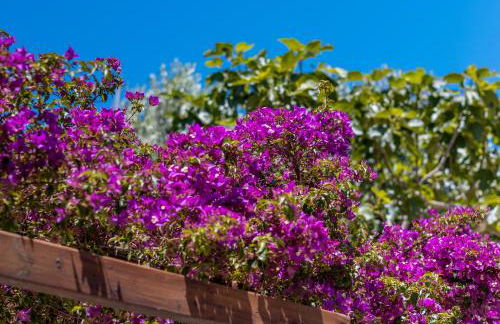 Villa Bellavista - Foto 17