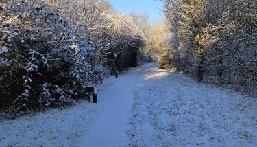 Oak Tree Lodge with Hot Tub near Alton Towers - Foto 4