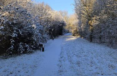 Oak Tree Lodge with Hot Tub near Alton Towers - Foto 4