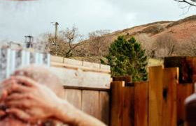 The Boatshed at Camp Plas - Photo 43