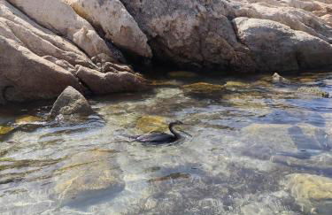 Soul Apartment La Maddalena - Foto 52