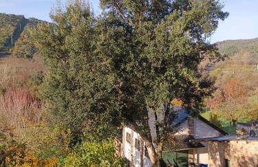 Casa Macías - Foto 17