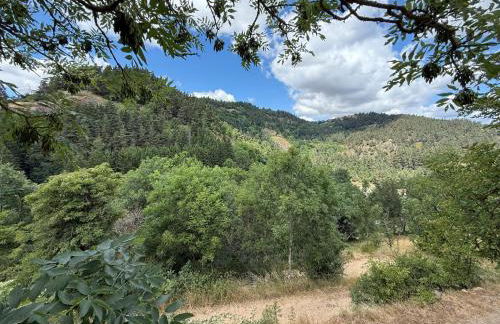 Gite LES SOURCES, 9 pers, 11 couchages - Arlempdes, classé un des plus beaux villages de France - Foto 44
