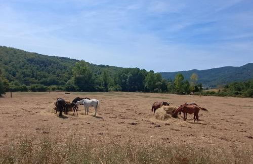 Villa Le Corti - Foto 19