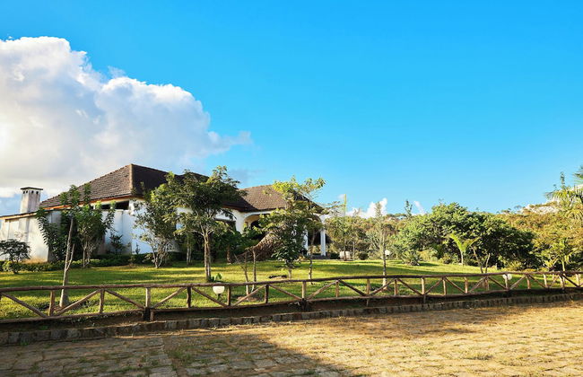 Andasibe Sifaka Lodge - Foto 47