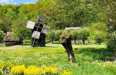 U Wrót Bieszczad - Foto 10