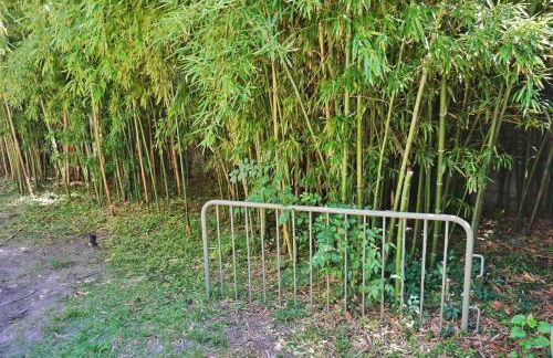 2BDR Victorian District Walk to Forsyth Park! - Foto 7