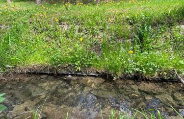 Domki letniskowe pod Brzozami Stella - Photo 27