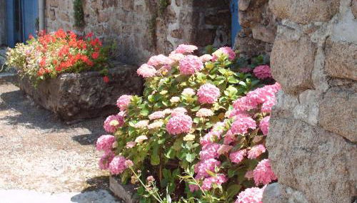 La Maison Marguerite - 900m de la plage - Foto 2