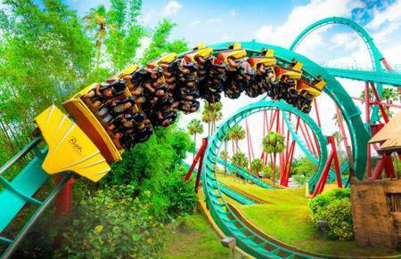 2 MI to USF + Long Term Stays allowed + Gym + Pool - Foto 22