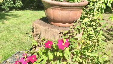 Charming 1-Bedroom Apartment near South Downs - Foto 2, Garden