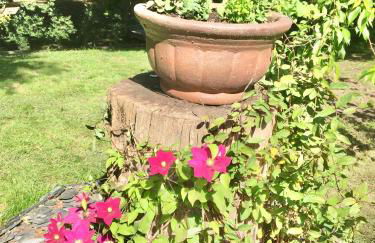 Charming 1-Bedroom Apartment near South Downs - Foto 2