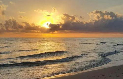 Oliva Nova Playa Golf MET - Photo 10