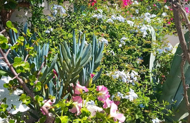 Bonora Country Houses - Askeri - Foto 24