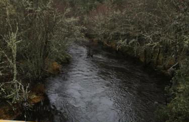 Casa do Bonifácio - Foto 38