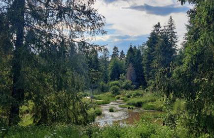 Korona Bieszczad Premium Apartments - Foto 68