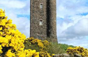 Bramble Cottage, hidden gem in Comber near Belfast - Foto 56