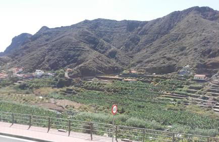 Apartamento Patricia - Foto 3