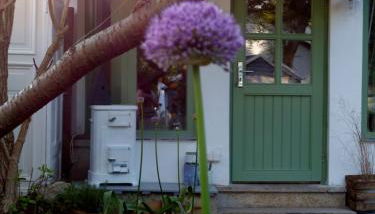 Feine Laube - Foto 3