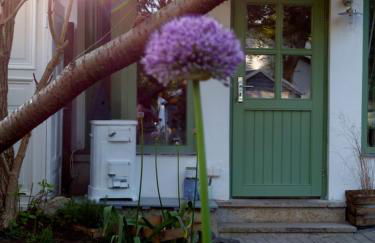 Feine Laube - Foto 3