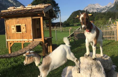 Vorderponholz Ferienwohnungen - Foto 32