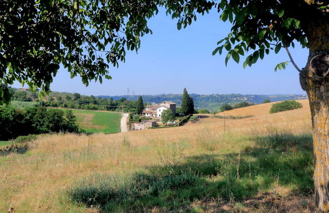 Trianon Country - Foto 51