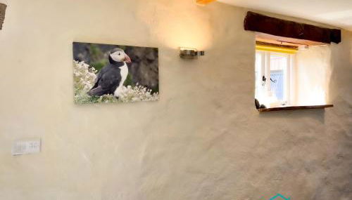 Ty Onnen - A Beautiful Rural Escape in St Davids - Foto 4