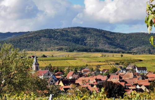 Gîtes Marschall Jean-Pierre - Foto 35