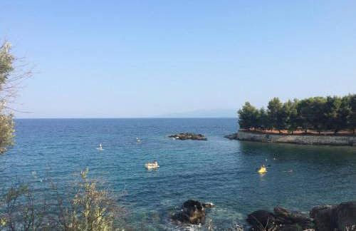 The Yellow Houses - Photo 29