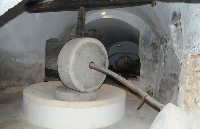 Azienda Agricola Francesca Stajano - Foto 68