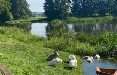 Idyllische Ferienwohnungen in Mossendorf Blick zur Naab - Foto 36