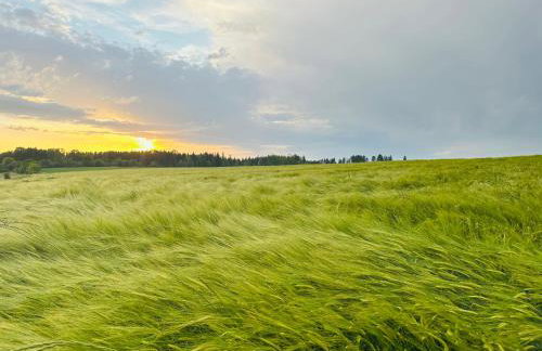 Apartment Kneer - Panoramic View & Private Garden near Black Forest & Lake Constance - Foto 38