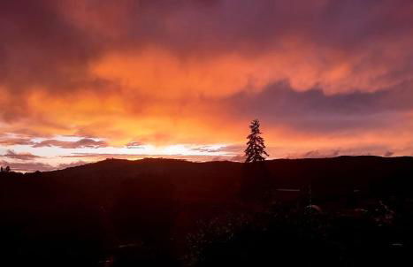 Casa intera con giardino - Photo 16