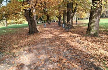 Noclegi Mieszkanie Kuchnia Żywiec - Foto 26