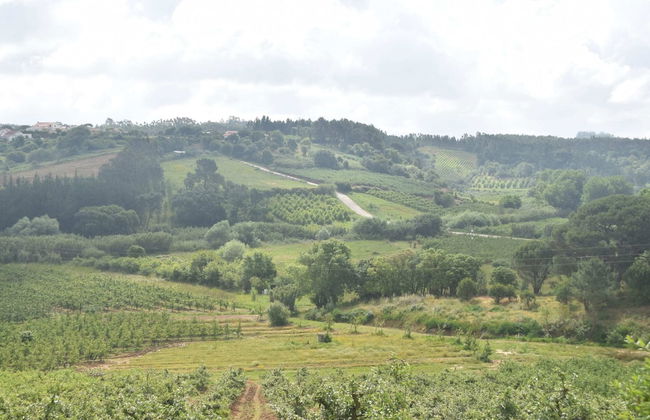 Family Retreat With Pool; Caldas da Rainha - Photo 39