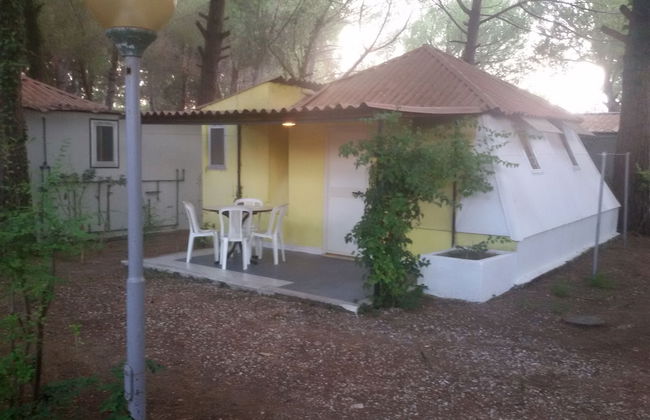 Parco delle Viole - Foto 34