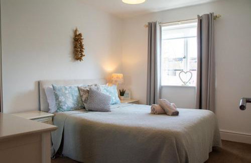 Pine Cones - Foto 12