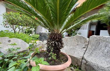 JERA Holiday Collection VULCANO UNO - Garden View - Foto 8