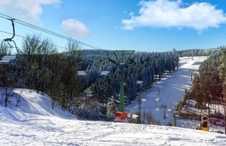 UplandParcs Haus Bergsicht - Photo 72