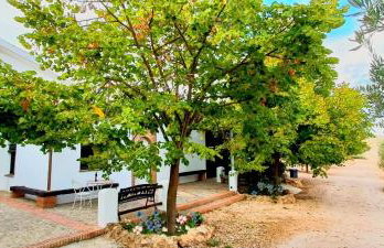 Cortijo Rica - Foto 19