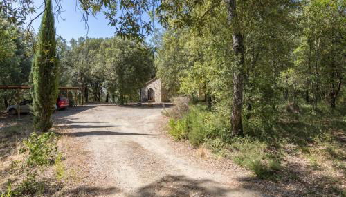 Casina nel Bosco - Foto 4