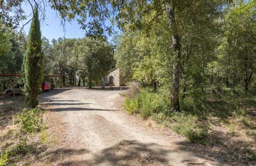 Casina nel Bosco - Foto 4